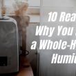 10 Reasons Why You Need a Whole-House Humidifier