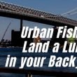 Urban Fishing: Land a Lunker in Your Backyard. The Why, How and Where of Fishing in the Big City
